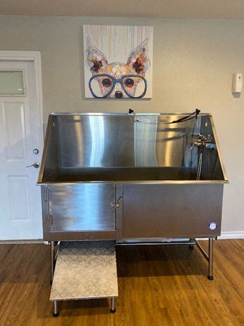 Stainless steel sink in a kitchen with a painting of a dog on the wall at Northshore Apartment Homes, Portland, TX, 78374